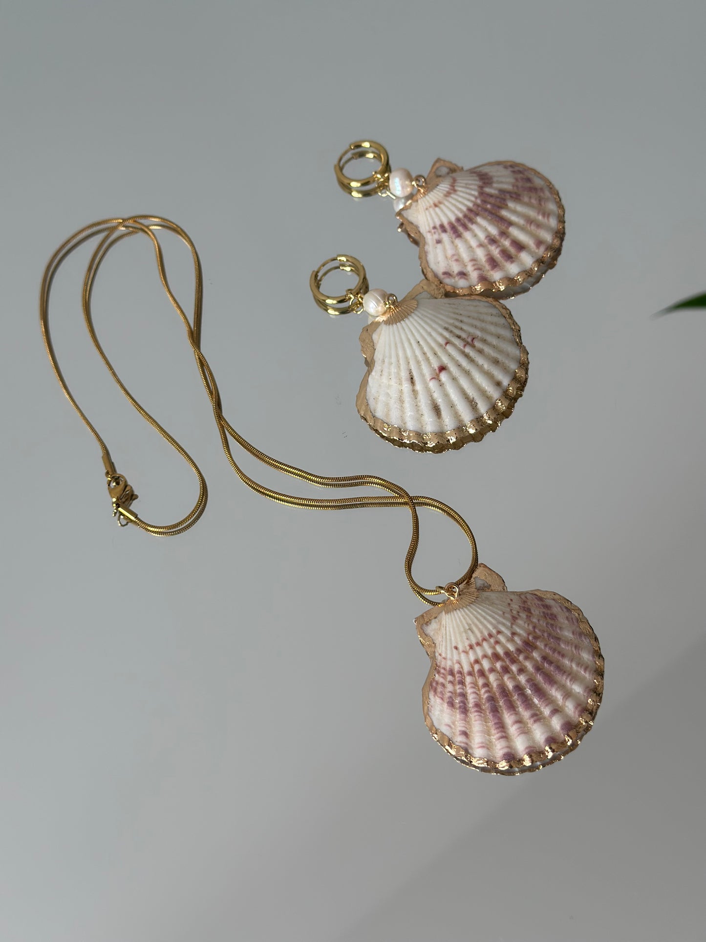Summer Shell Set
