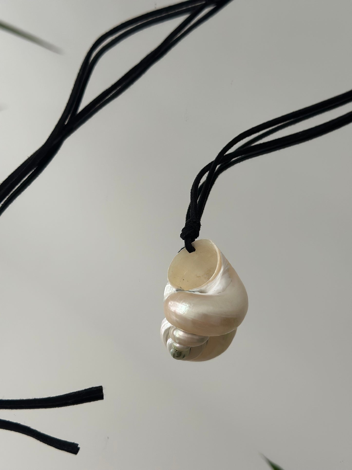 Colier snur cu charm cochilie