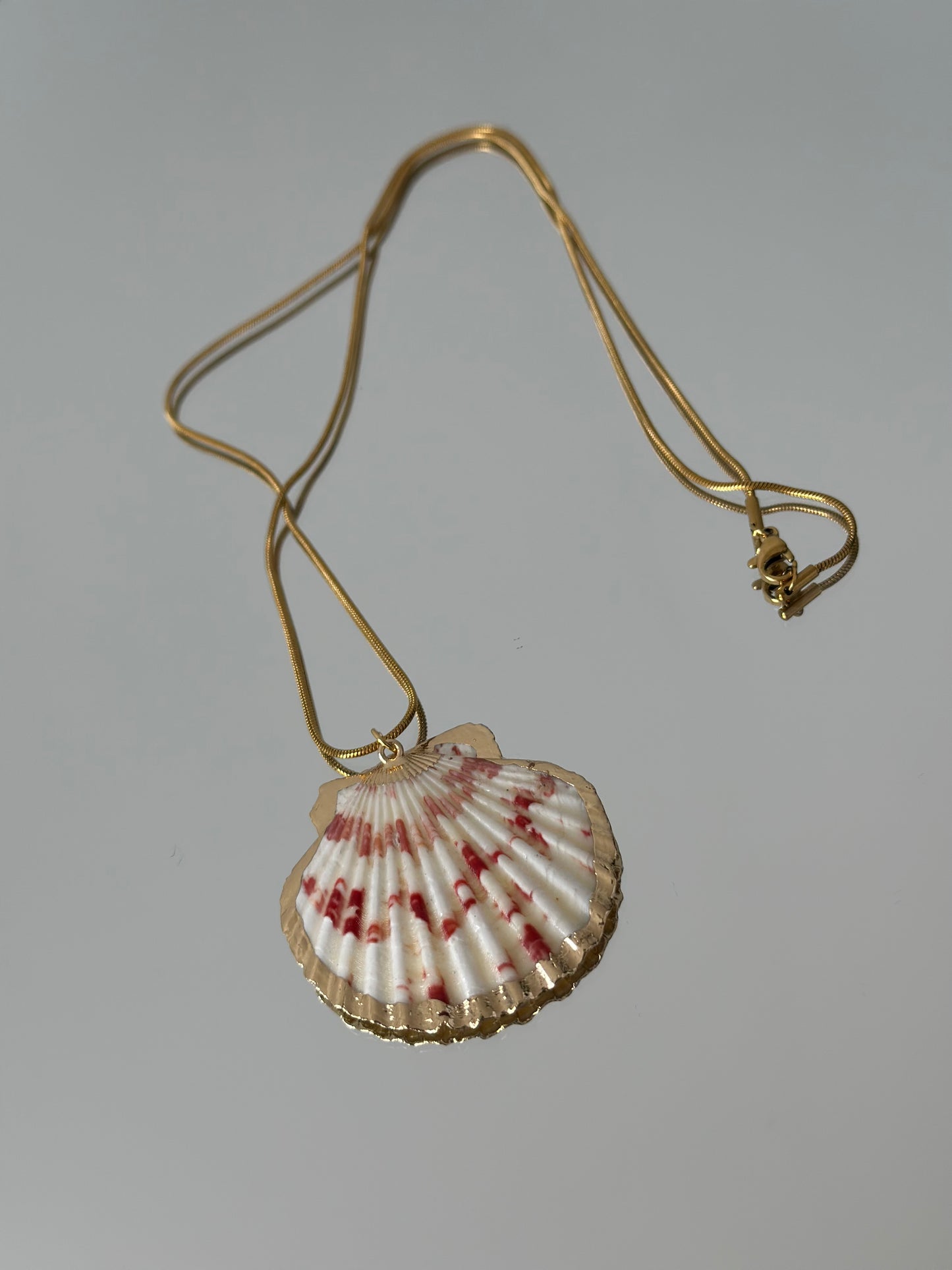 Minimalist Shell Charm Chain / Colier cu scoica