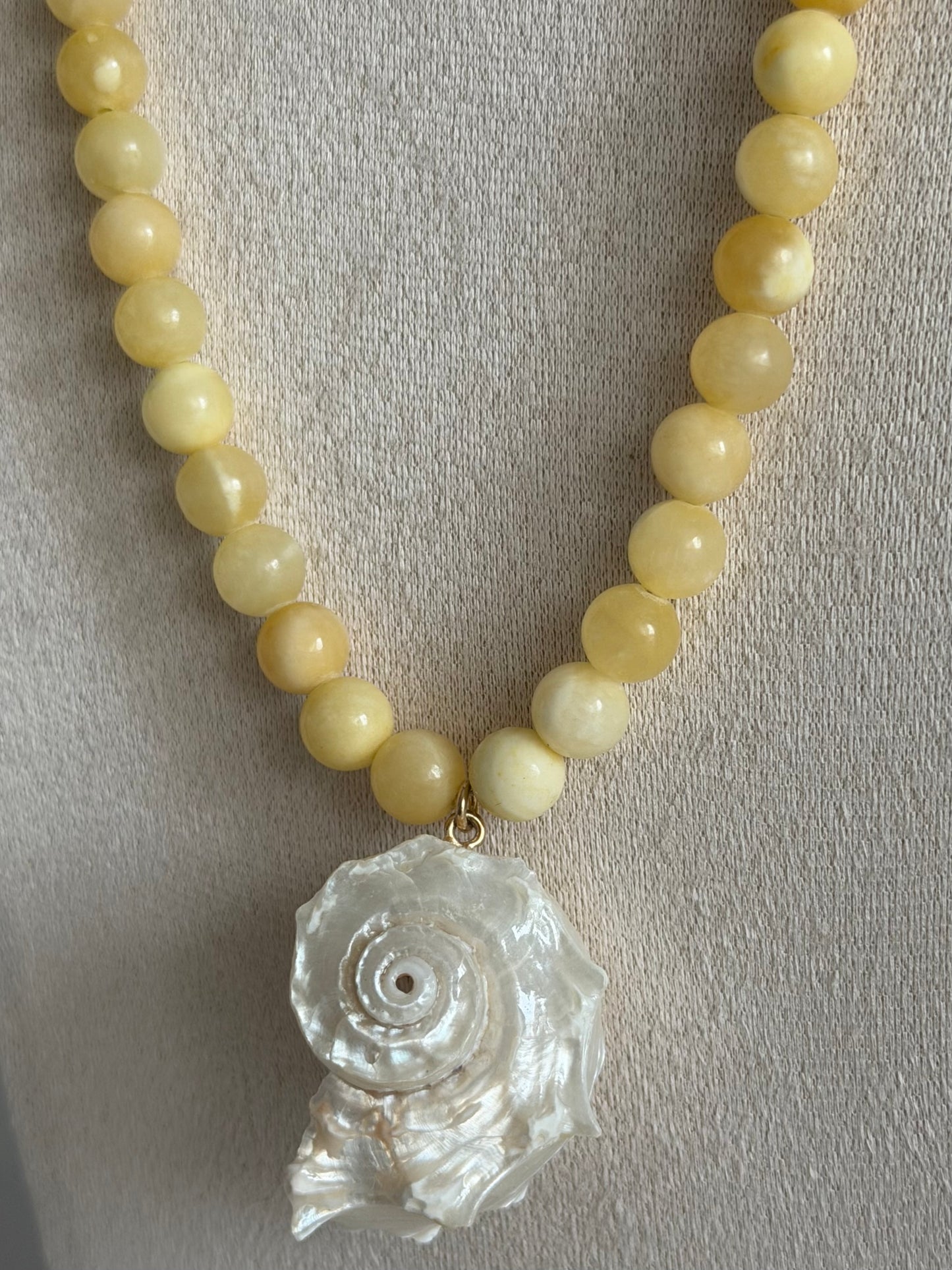 Honey Shell Necklace
