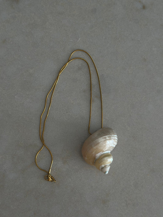 Colier cu scoica cochilie