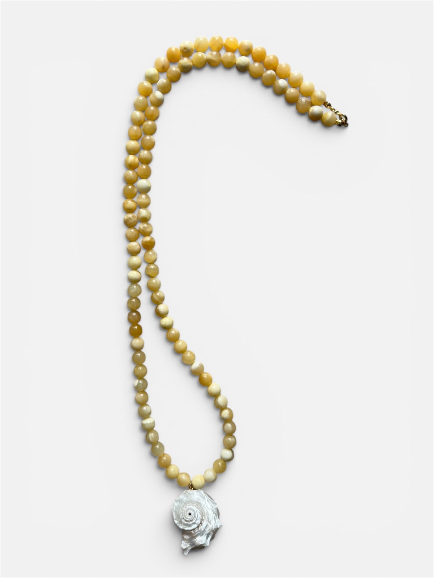 Honey Shell Necklace