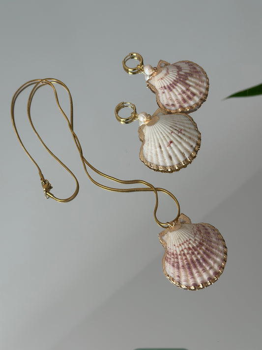 Summer Shell Set