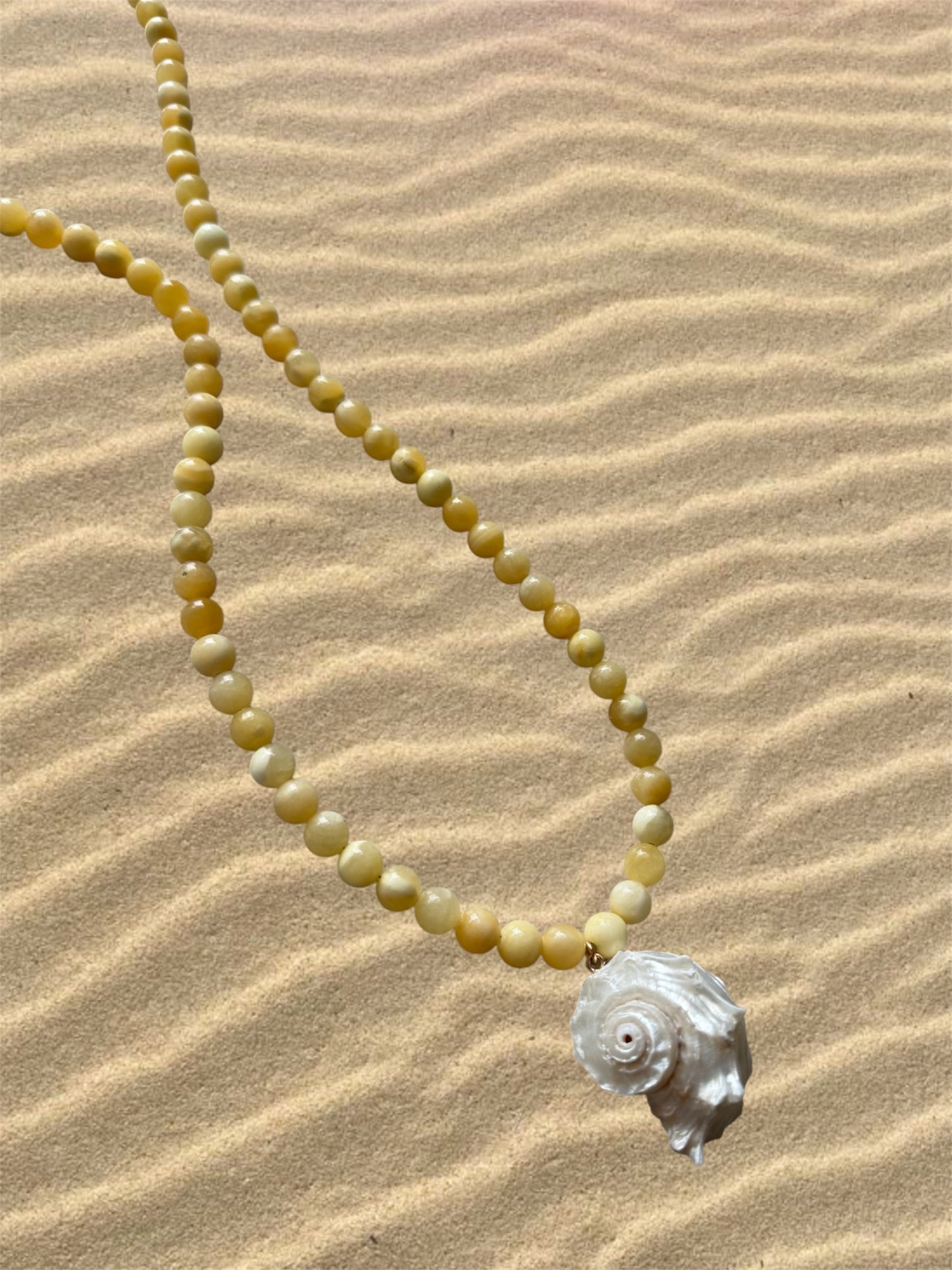 Honey Shell Necklace
