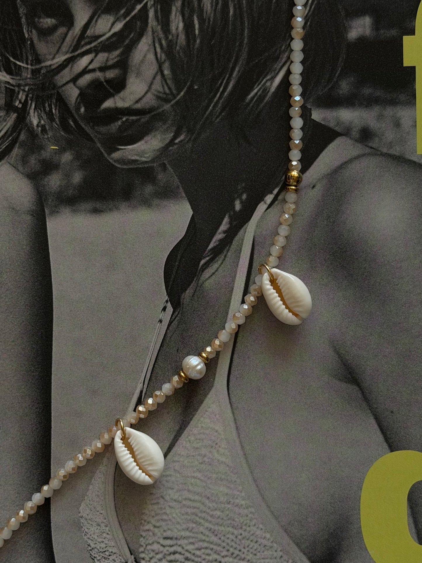 Shell Anket