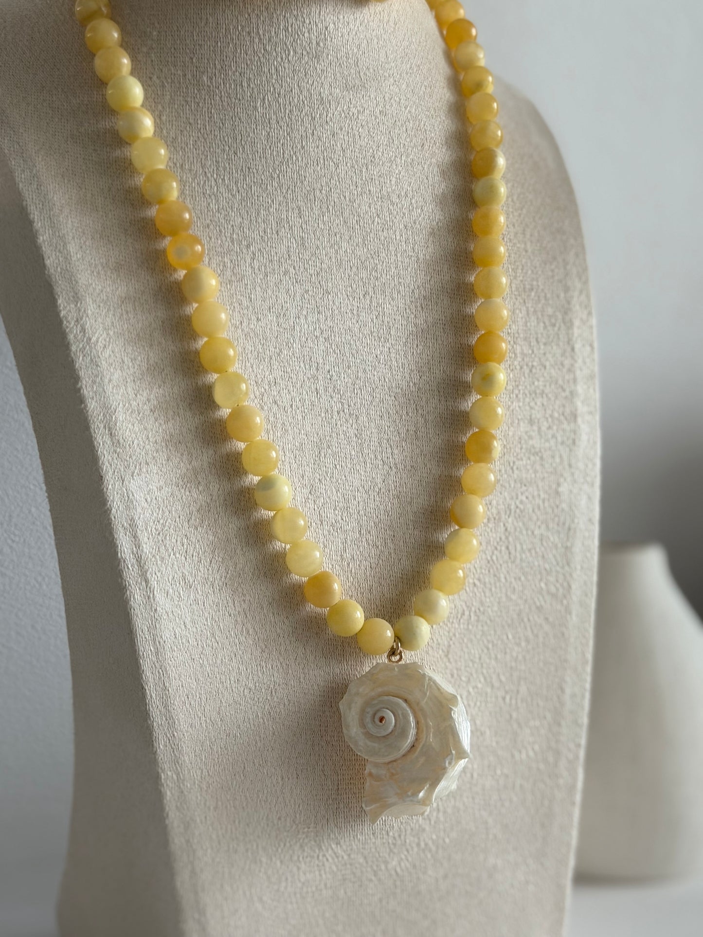 Honey Shell Necklace