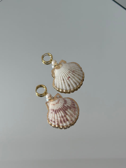 Summer Shell Earrings